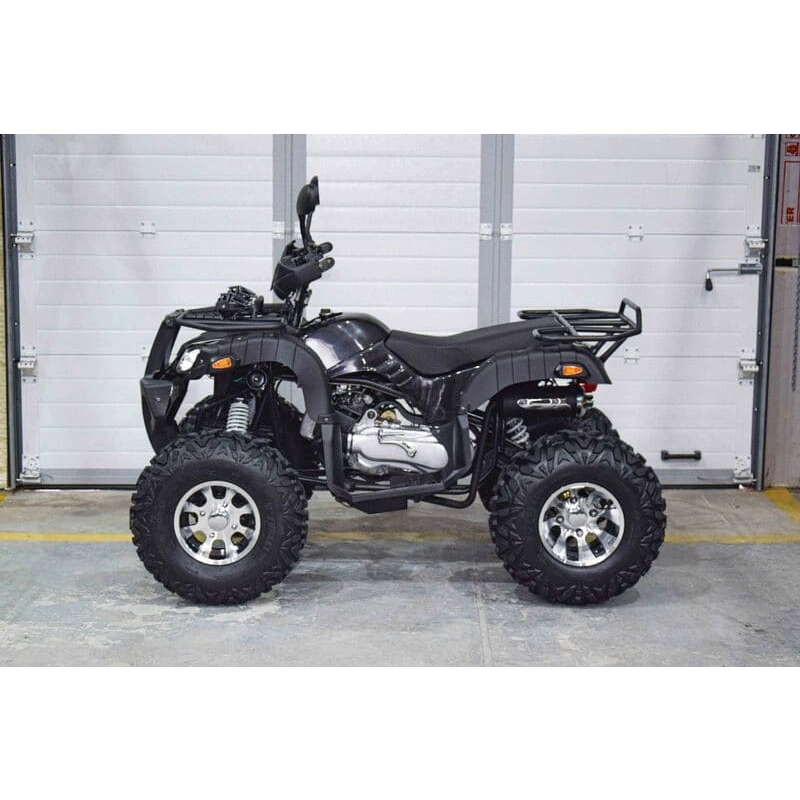 Квадроцикл GRIZZLY 200 2556370