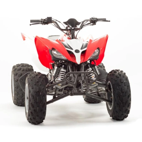Квадроцикл MOTOLAND 125S (2020 Г.)
