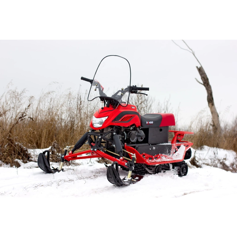 Снегоход IRBIS Dingo T150