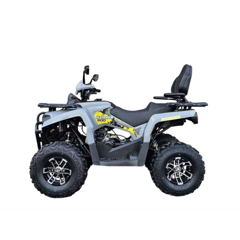 Квадроцикл MIKILON Hammer 200 Lux 2588940