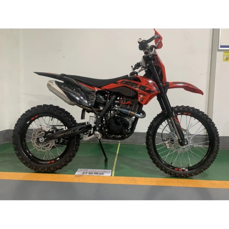 Мотоцикл FIDELIS Legend CB300F (ZS175FMM) ENDURO 2589488