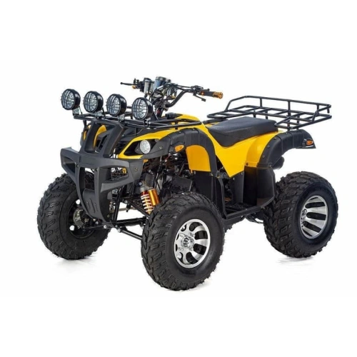 Квадроцикл RAPTOR Max Pro 250 (жёлтый/чёрный) (2024) 248056