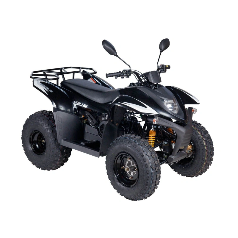 Квадроцикл BALTMOTORS Jam 100 2546407