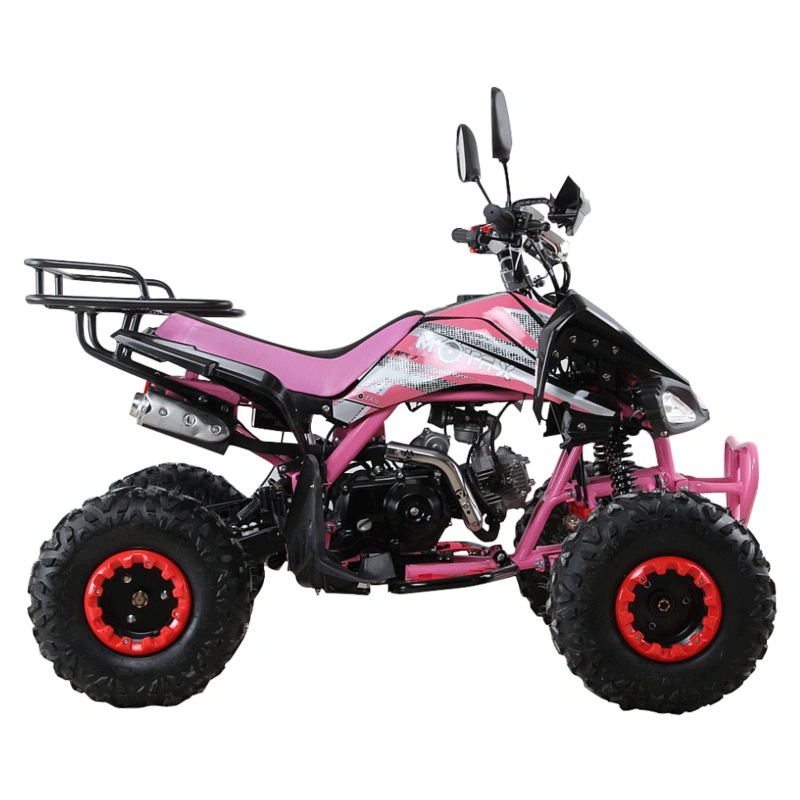 Квадроцикл MOTAX ATV T-Rex Super LUX 125 cc 2558708