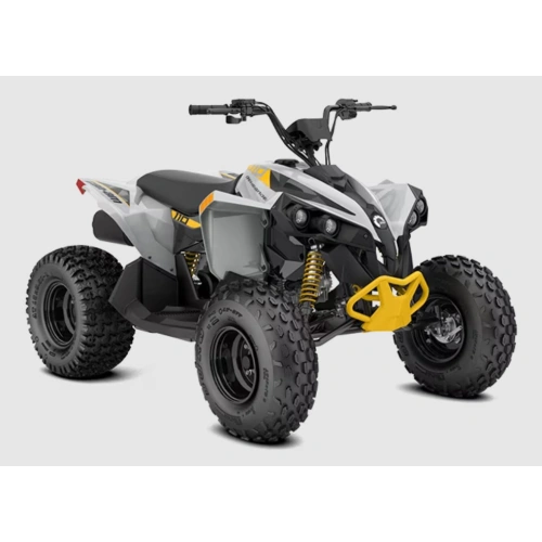 Квадроцикл BRP Сan-am Renegade X XC 110 EFI (2025)