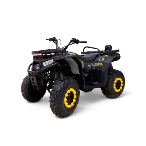 Квадроцикл MOTAX Grizlik W200 2591534