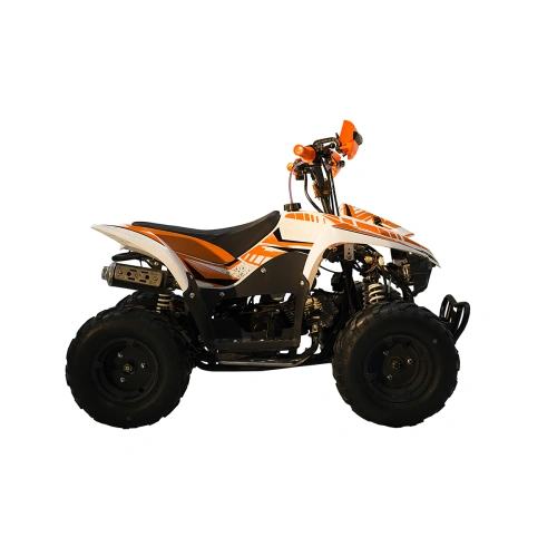 Квадроцикл RACER RC 110 Coyote