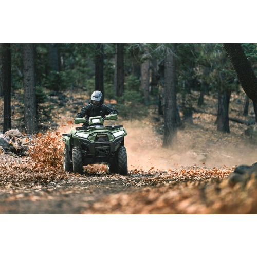 Квадроцикл KAWASAKI Brute Force 750 LE EPS (2024) (ПСМ) 2587387