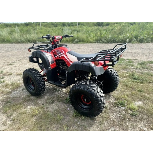 Квадроцикл RAPTOR Madman 200 All