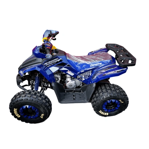 Квадроцикл MOTOLAND 125 Coyote Pro 2569746