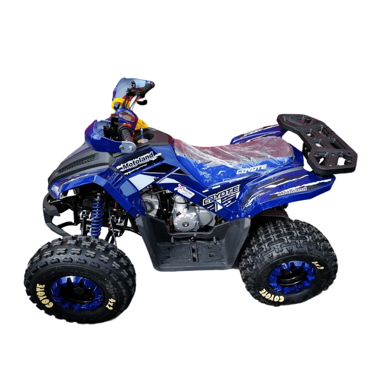 Квадроцикл MOTOLAND 125 Coyote Pro 2569746