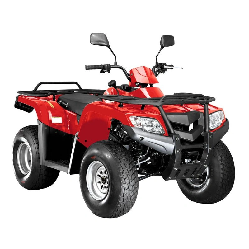 Квадроцикл ARMADA ATV 200L 248098