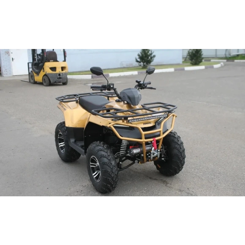 Квадроцикл IRBIS ATV 250 Premium 2586882