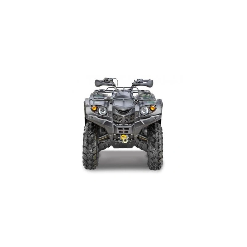 Квадроцикл STELS ATV 600 Y Leopard (ПСМ)