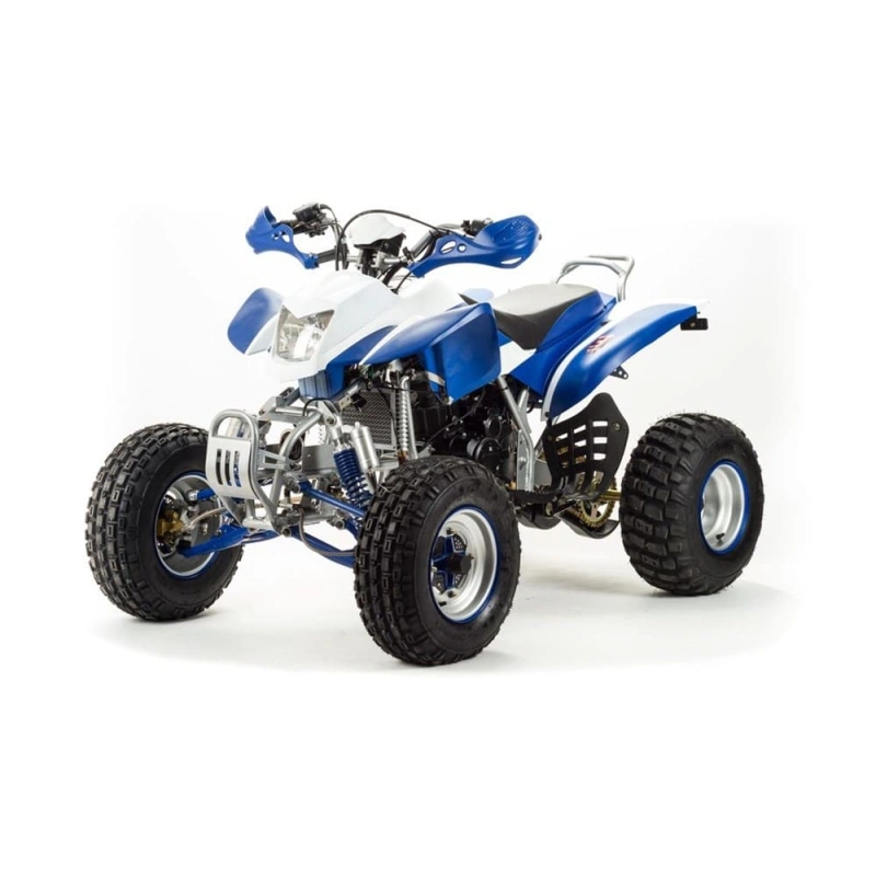 Квадроцикл MOTOLAND 250 Dakar 248053