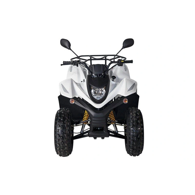 Квадроцикл BALTMOTORS Jam 100 2546407
