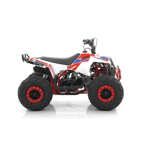 Квадроцикл MOTAX Grizlik A110 2587429
