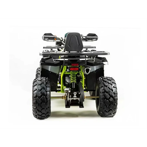 Квадроцикл MOTOLAND 200 Wild Track Pro 2588850