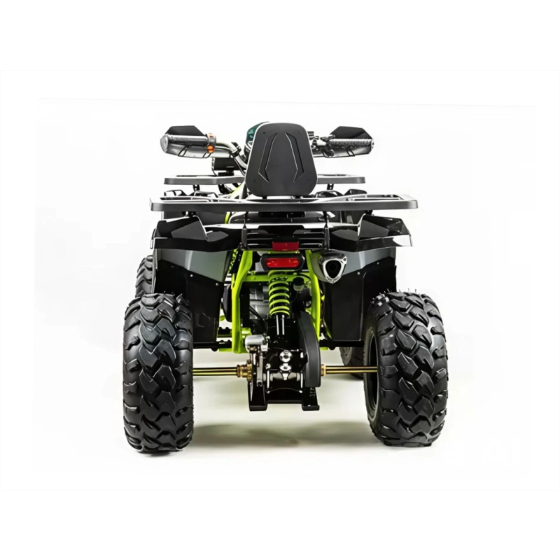 Квадроцикл MOTOLAND 200 Wild Track Pro 2588850