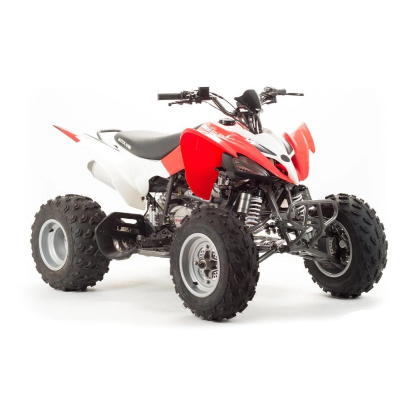 Квадроцикл MOTOLAND 125S (2020 Г.)
