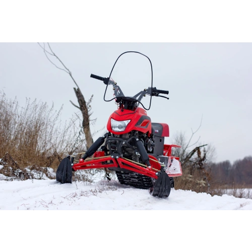 Снегоход IRBIS Dingo T150