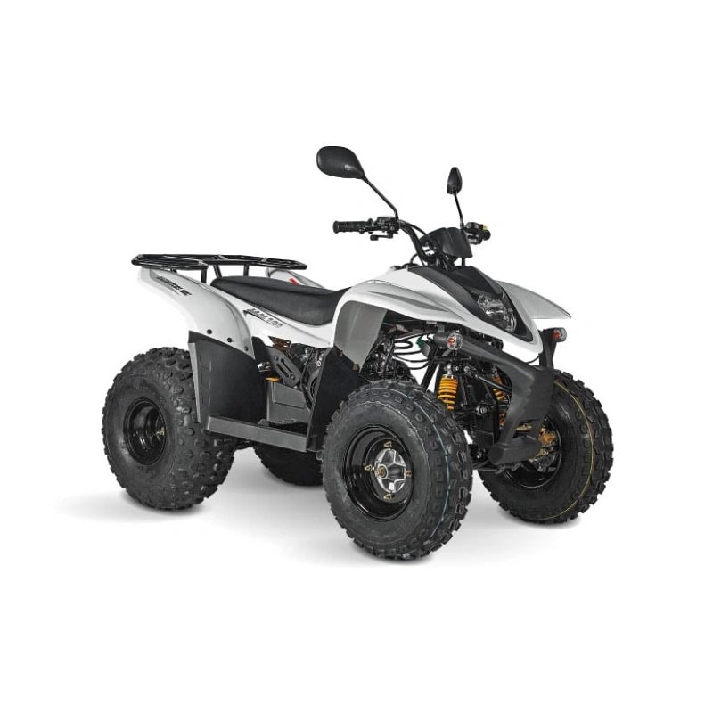 Квадроцикл BALTMOTORS Jam 100 2546407