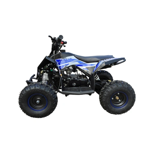 Квадроцикл MOTAX Gekkon 90cc 2587426