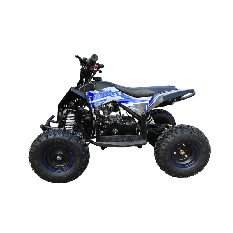 Квадроцикл MOTAX Gekkon 90cc 2587426
