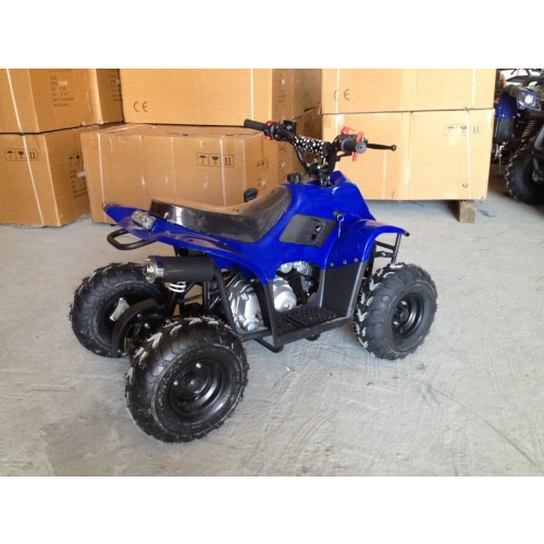 Квадроцикл RAPTOR 110