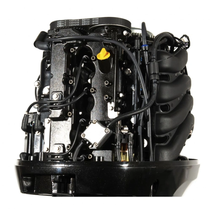 4х-тактный лодочный мотор PARSUN F115FEX-T EFI 2587502