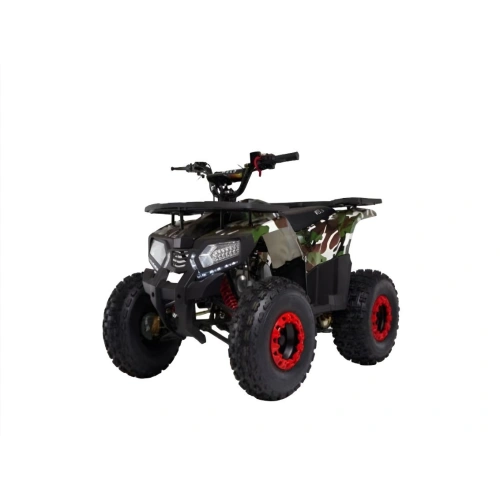 Квадроцикл WELS 125 thunder E2
