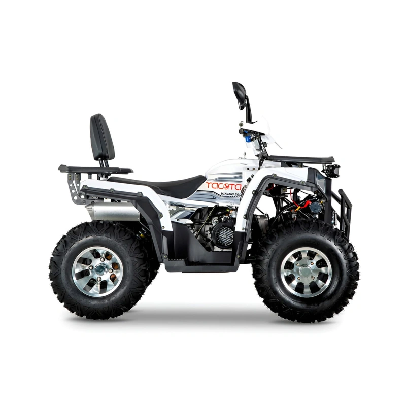 Квадроцикл YACOTA Viking 200 Pro 2590760