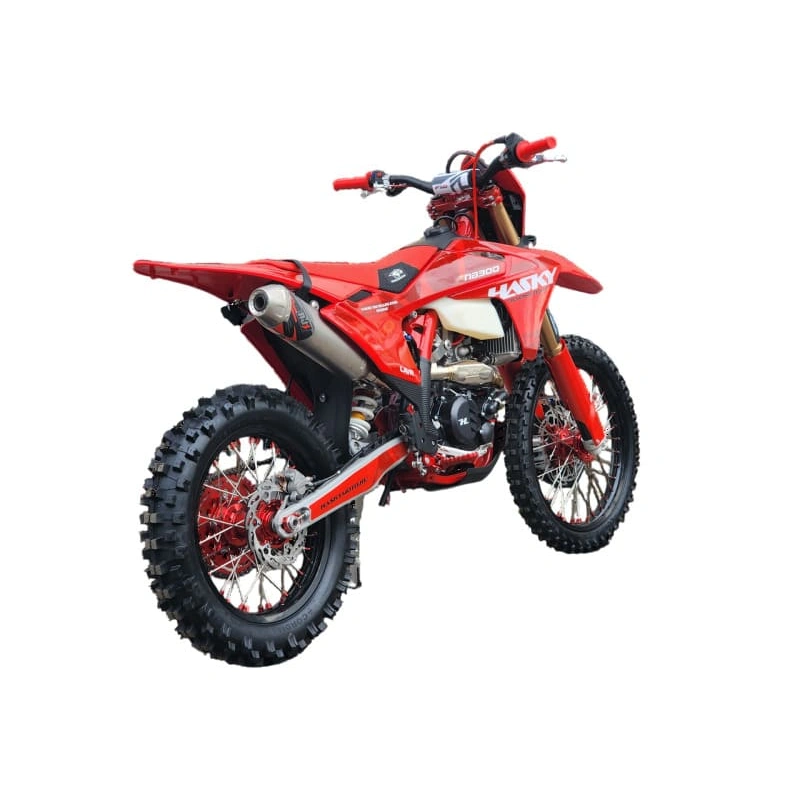 Мотоцикл HASKY A10 Pro NB300 ENDURO 2591569