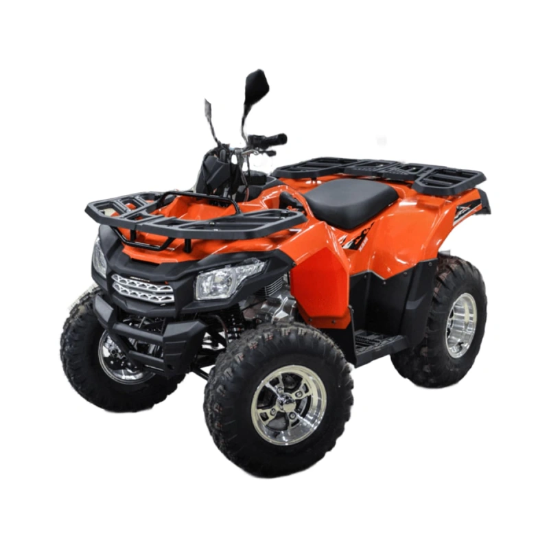 Квадроцикл MOTOLAND ATV 200 Max 2588863