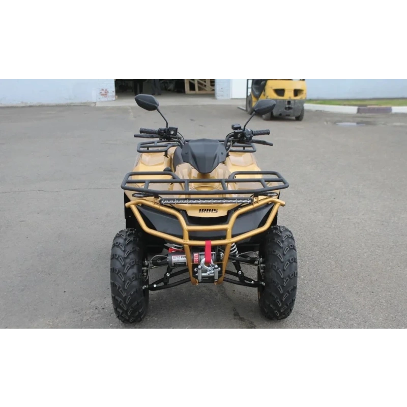 Квадроцикл IRBIS ATV 250 Premium 2586882