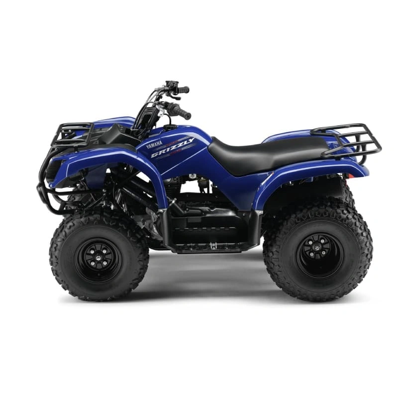 Квадроцикл GRIZZLY 125 2556394