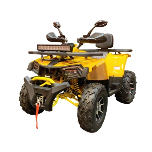 Квадроцикл MOTOLAND Wild Track X Pro 200 (баланс. вал) 2592072