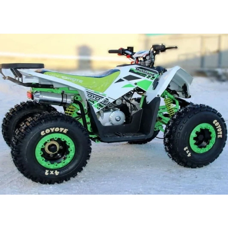 Квадроцикл MOTOLAND 125 Coyote (2021 Г.) 248052