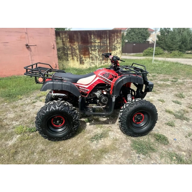 Квадроцикл RAPTOR Madman 200 All