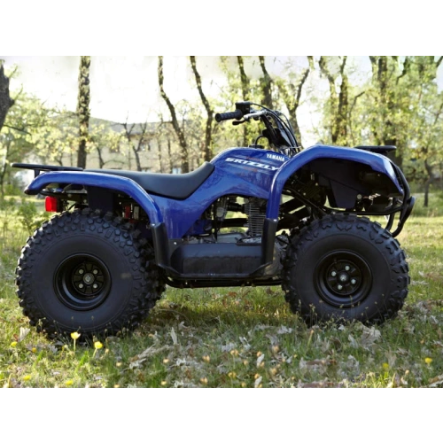 Квадроцикл GRIZZLY 125 2556394