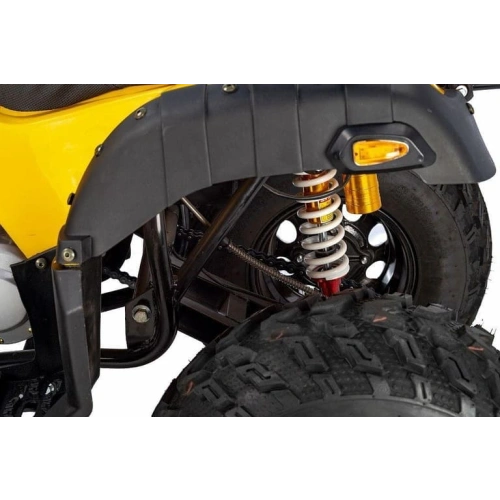 Квадроцикл RAPTOR Max Pro 250 (жёлтый/чёрный) (2024)