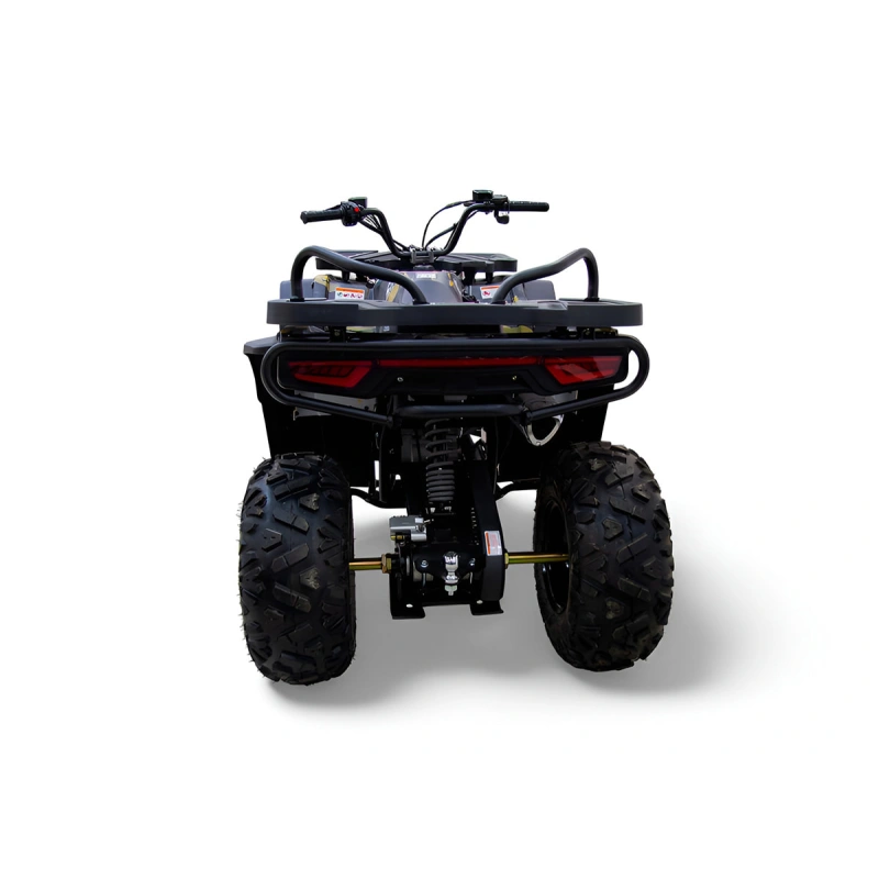 Квадроцикл MOTAX Grizlik W200 2591534