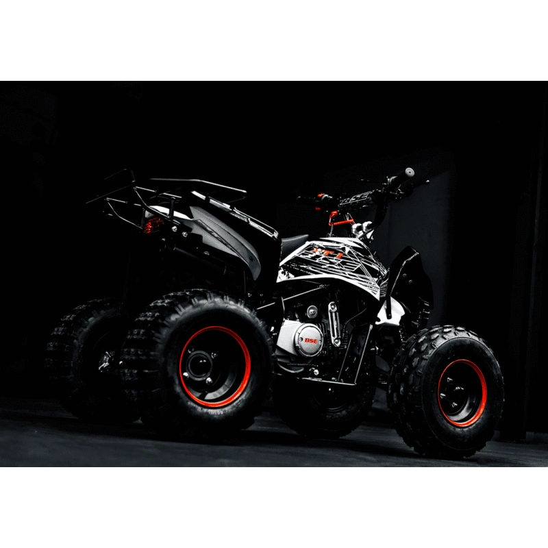 Квадроцикл BSE XT1 Black 2557909