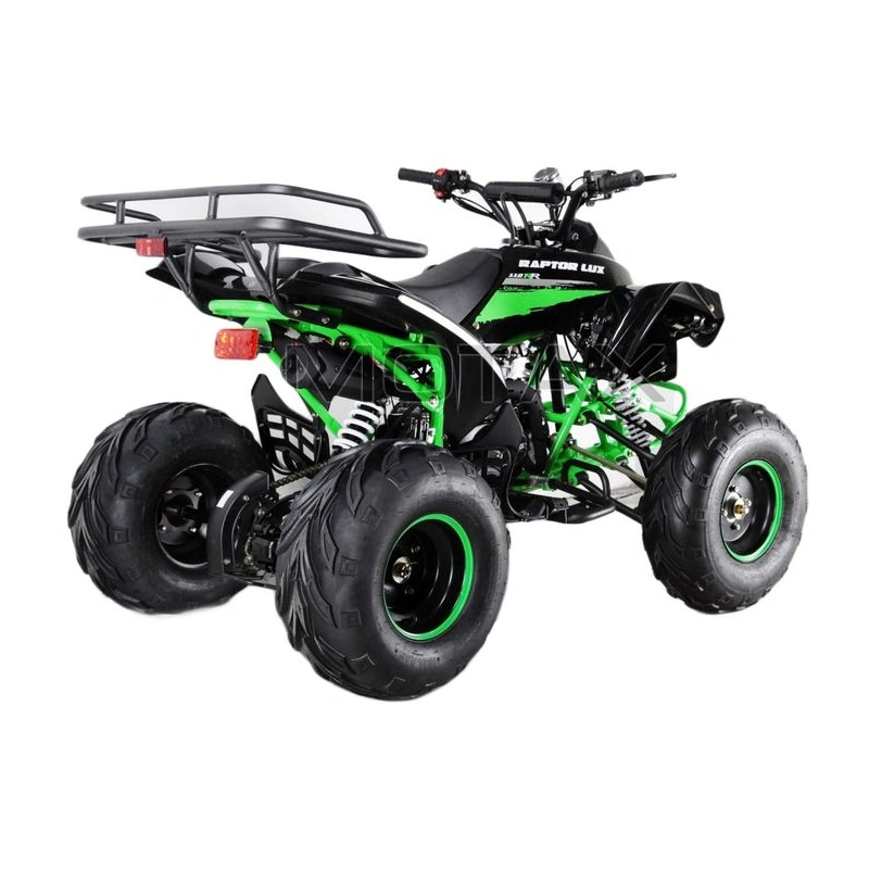 Квадроцикл MOTAX Raptor-7 125 2591805