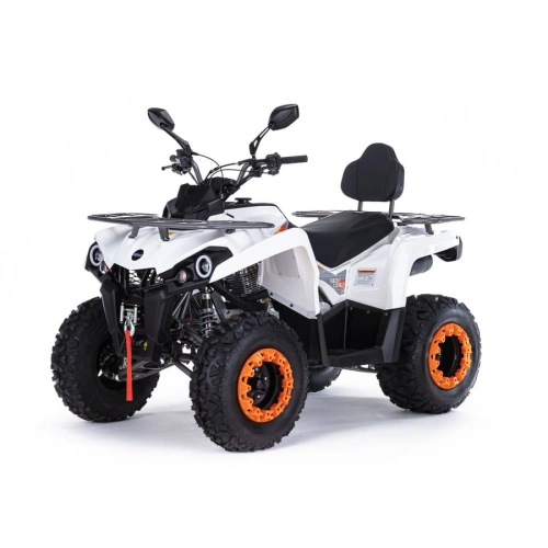 Квадроцикл MOTAX ATV Grizlik 200 Ultra