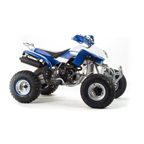 Квадроцикл MOTOLAND 250 Dakar 248053