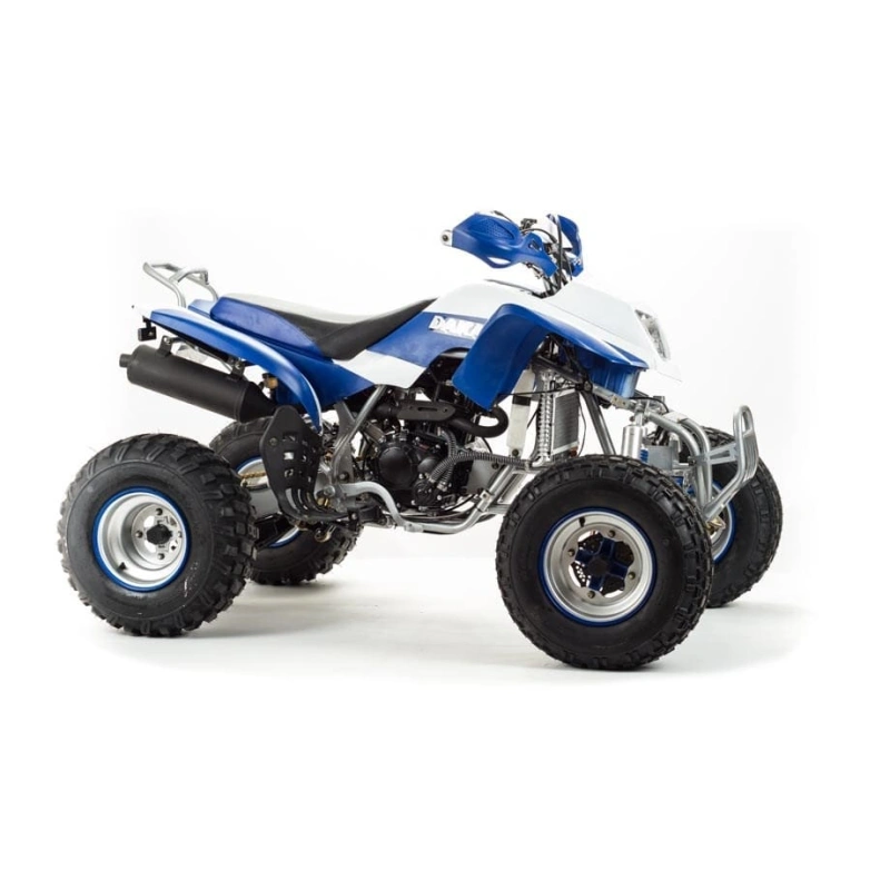 Квадроцикл MOTOLAND 250 Dakar 248053
