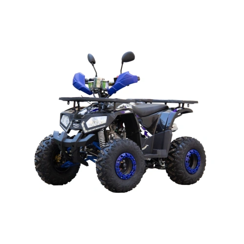 Квадроцикл UNIVERSAL ATV 125 TM Fusion plus 2586909