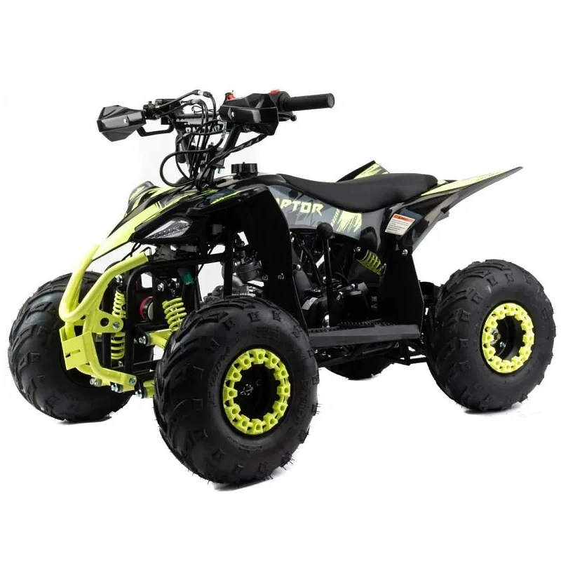 Квадроцикл MOTOLAND Raptor 110