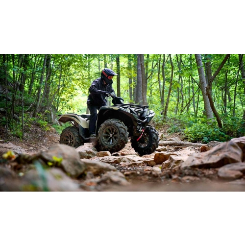 Квадроцикл YAMAHA Grizzly 700 EPS SE (ПСМ) 2546395